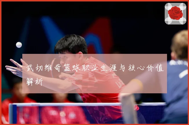 武切维奇篮球职业生涯与核心价值解析