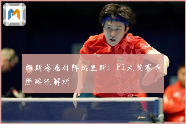维斯塔潘对阵诺里斯：F1大奖赛争胜路径解析