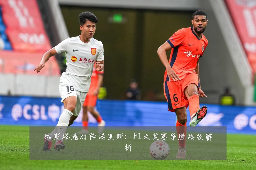 维斯塔潘对阵诺里斯:F1大奖赛争胜路径解析